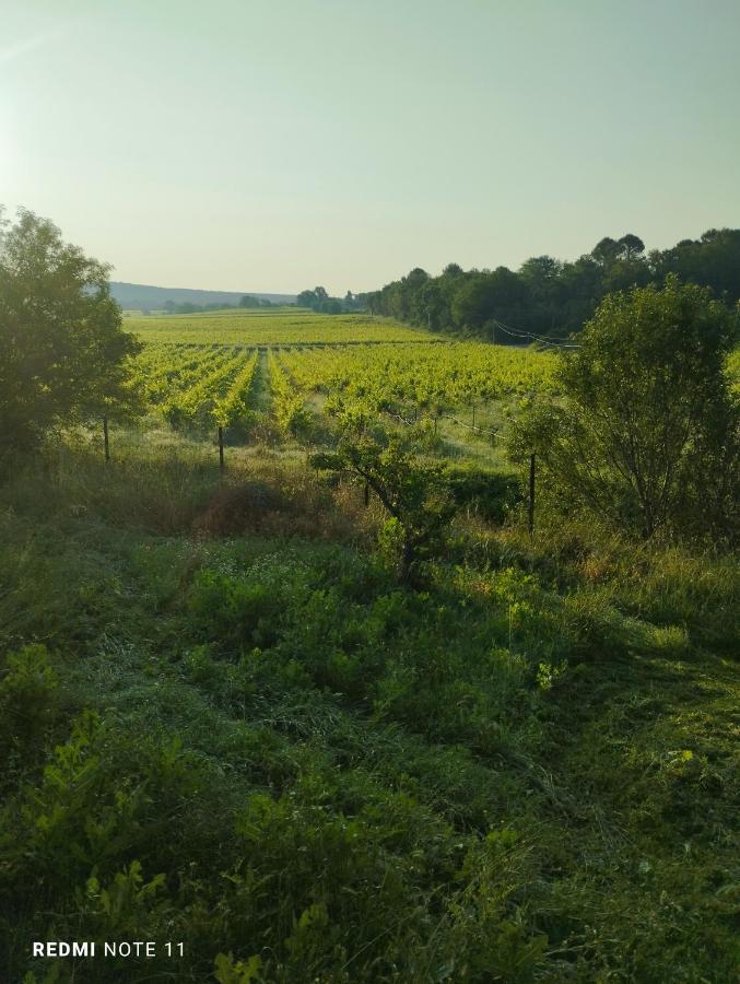 Chambre D Hotes En Provence, Au Pied Du Luberon, Les Coquelicots La Tour-dʼAigues Kültér fotó