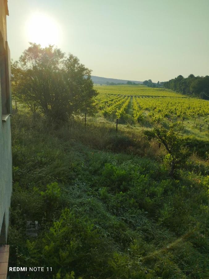 Chambre D Hotes En Provence, Au Pied Du Luberon, Les Coquelicots La Tour-dʼAigues Kültér fotó